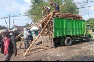 Harga Kayu Dolken Karawang Murah Gratis Antar