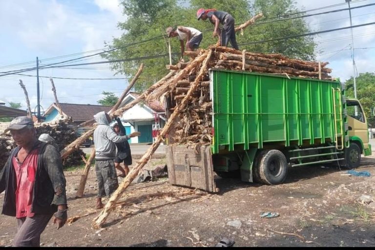 Harga Kayu Dolken Karawang Murah Gratis Antar